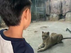 -鄂尔多斯野生动物园