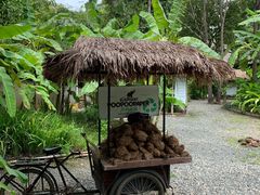 -大象粑粑造纸公园