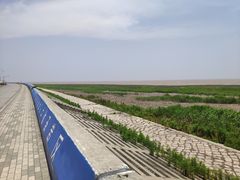 -南汇嘴观海公园