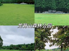 -宜兴龙背山森林公园