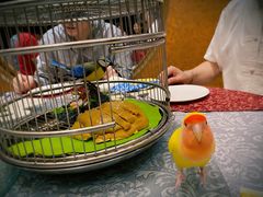 -商都酒店( 北京南站店)