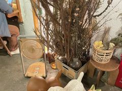 -野草莓自由市场