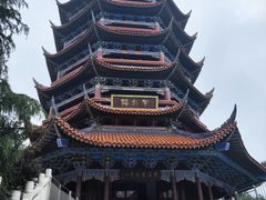 -铁山坪森林公园