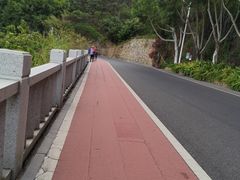 -仙岳公园