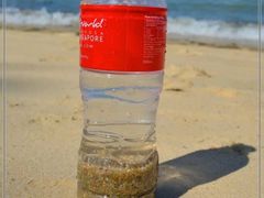 -巴拉湾海滩
