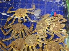 -79号渔船海鲜饭店(华强北店)