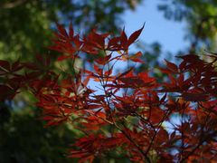 -苏州河梦清园环保主题公园