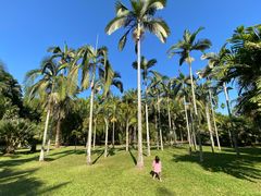 -中国科学院西双版纳热带植物园