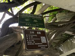 -陕西民俗大观园
