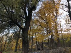 -阳台山自然风景区