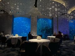 -迪拜帆船酒店海底餐厅