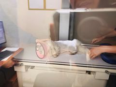 -联合动物医院(光谷诊疗中心)