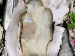 -蠔友汇(皇姑店)