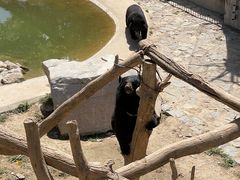 -石家庄市动物园