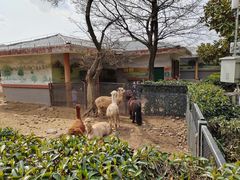 -无锡动物园·太湖欢乐园