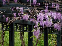 -北京市劳动人民文化宫(太庙)