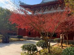 -莆田南少林寺