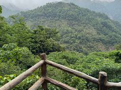 -雁荡山三折瀑景区