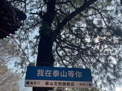 -泰山风景名胜区