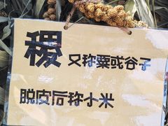 -北戴河集发农业梦想王国