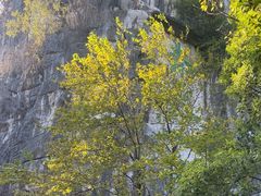 -桂林独秀峰王城景区