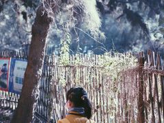 -北海金海湾红树林生态旅游区