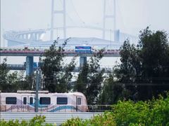 -宝安西湾红树林湿地公园