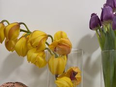 -循礼门鲜花花市(武汉循礼门店)