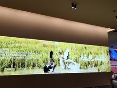 -桂小厨广西菜(水晶城店)