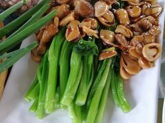-草根堂农场