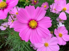 -龙环葡韵住宅式博物馆