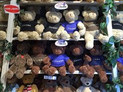 -济州岛泰迪熊博物馆