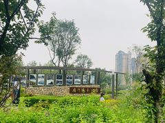 -府河摄影公园