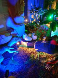 点击看大图 -恐龙探索乐园(磁器口店)