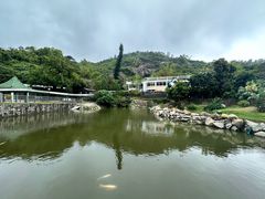-石排湾郊野公园
