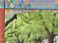 -北京国子监胡同