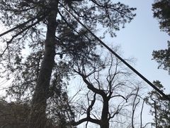 -香山公园