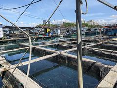 -蓝湾碧波·老字号·疍家非遗海上餐厅
