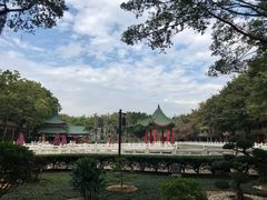 -广东圆玄道观