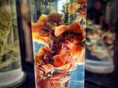 -广东中医药博物馆