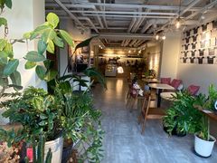 -Dinoo 片场咖啡(酒仙桥店)