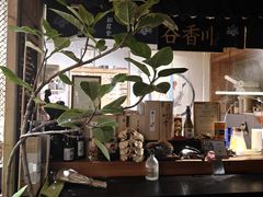 -谷咖啡·鲜花绿植花园餐厅