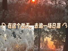 -贡湖湾湿地公园