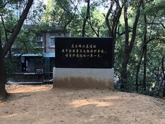 -马王堆汉墓遗址