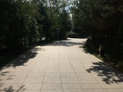 -大乘寺