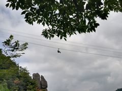 -梦幻奥陶纪景区