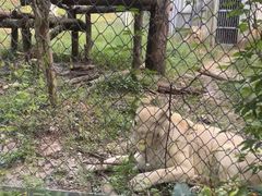 -合肥野生动物园