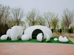 -南大港湿地风景区