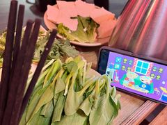 -蜀大侠火锅(森兰花园城店)