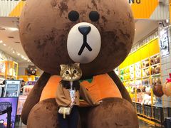 -line friends(明洞旗舰店)